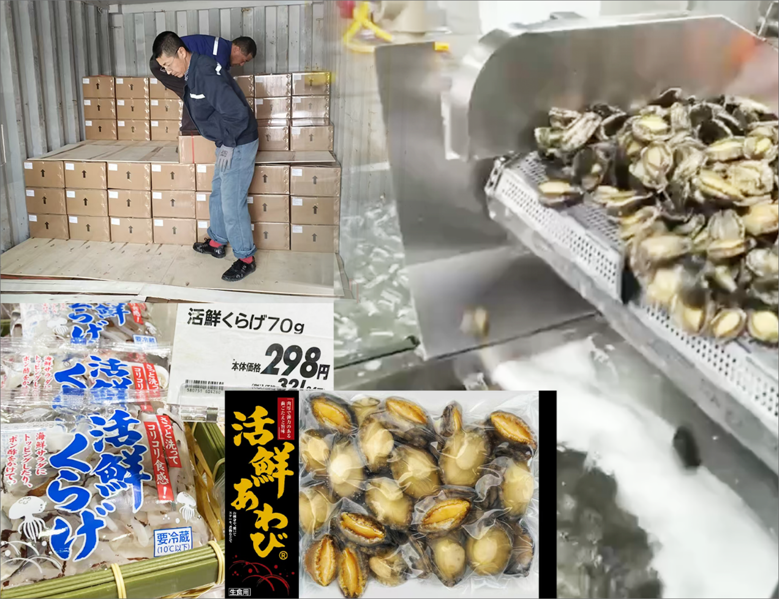 食品の輸入・輸出